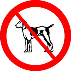 ультразвуковых угольник собаки